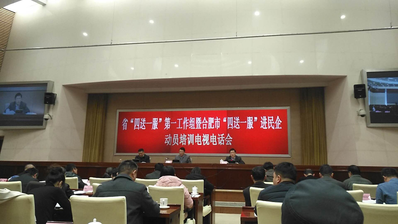 省“四送一服”進民企動員培訓電視電話會